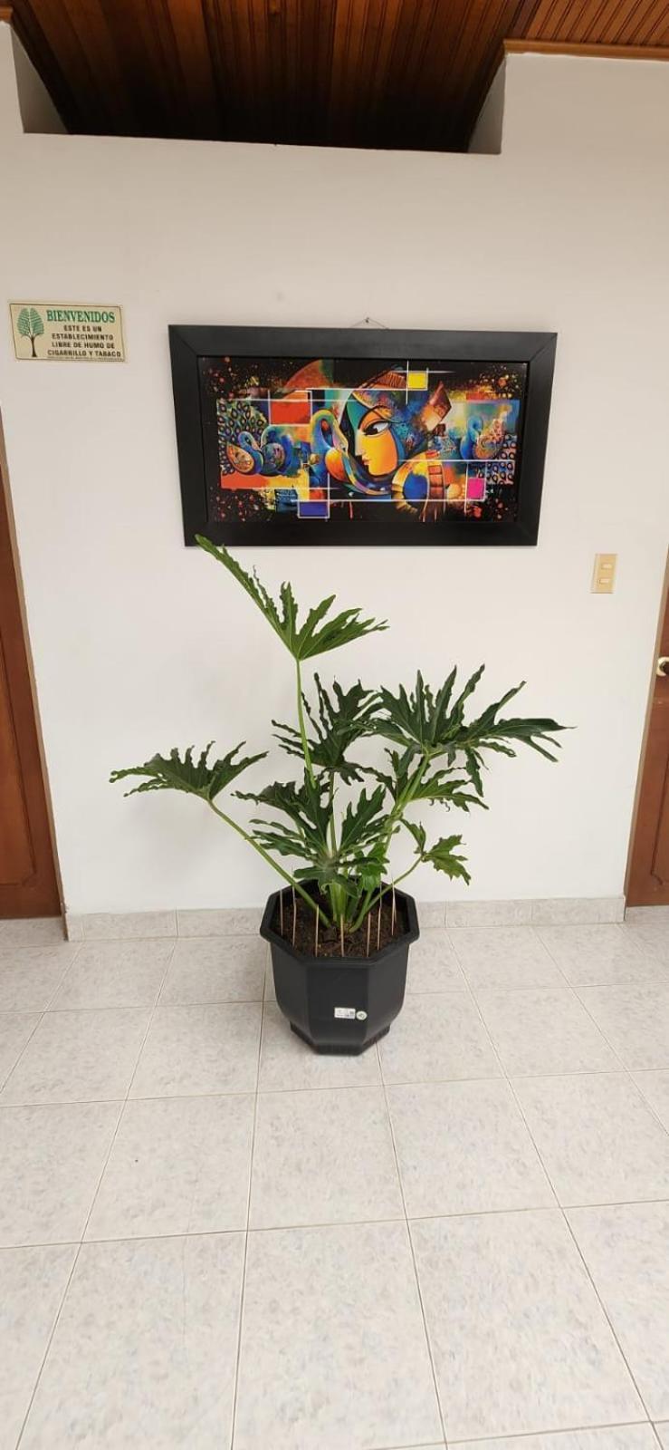 Luna Verde Hotel نيفا المظهر الخارجي الصورة
